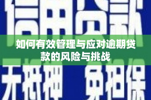 镇原如何有效管理与应对逾期贷款的风险与挑战