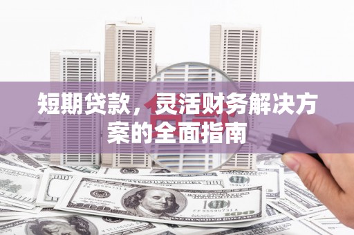 镇原短期贷款，灵活财务解决方案的全面指南