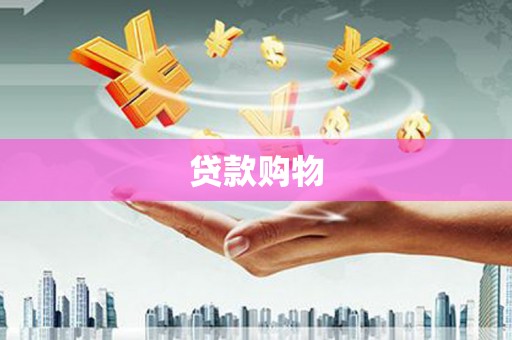 镇原贷款购物