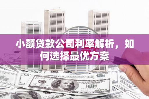 镇原小额贷款公司利率解析，如何选择最优方案