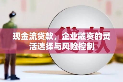 镇原现金流贷款，企业融资的灵活选择与风险控制