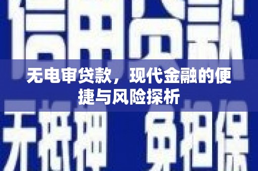 镇原无电审贷款，现代金融的便捷与风险探析