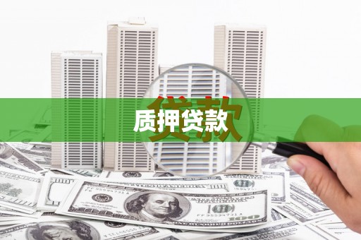 镇原质押贷款