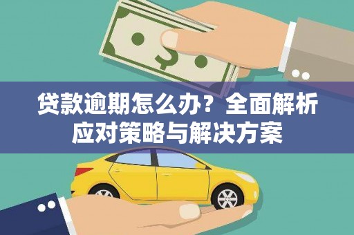 镇原贷款逾期怎么办？全面解析应对策略与解决方案