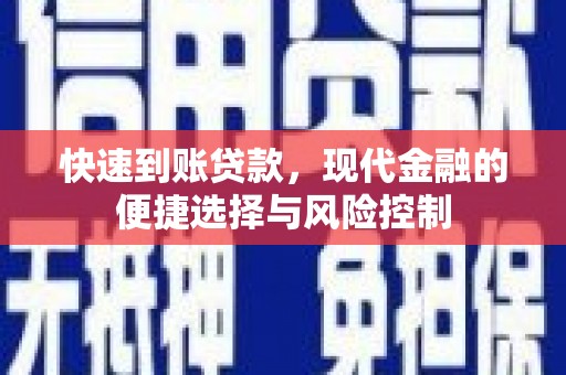 镇原快速到账贷款，现代金融的便捷选择与风险控制