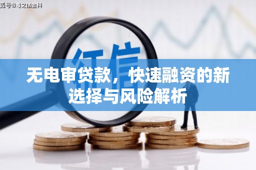 镇原无电审贷款，快速融资的新选择与风险解析