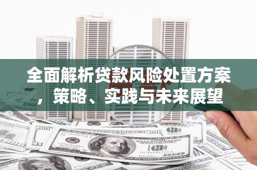 镇原全面解析贷款风险处置方案，策略、实践与未来展望