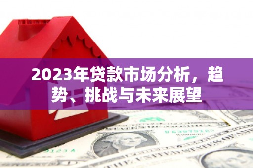 镇原2023年贷款市场分析，趋势、挑战与未来展望