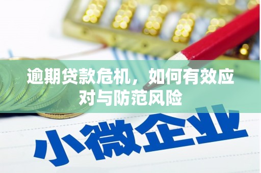 镇原逾期贷款危机，如何有效应对与防范风险