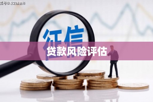 镇原贷款风险评估