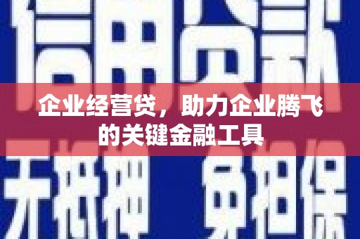 镇原企业经营贷，助力企业腾飞的关键金融工具