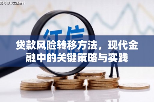 镇原贷款风险转移方法，现代金融中的关键策略与实践