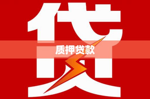 镇原质押贷款