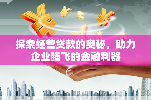 镇原探索经营贷款的奥秘，助力企业腾飞的金融利器
