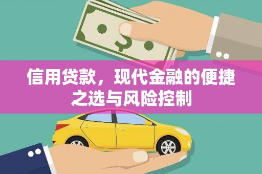 镇原信用贷款，现代金融的便捷之选与风险控制