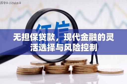镇原无担保贷款，现代金融的灵活选择与风险控制