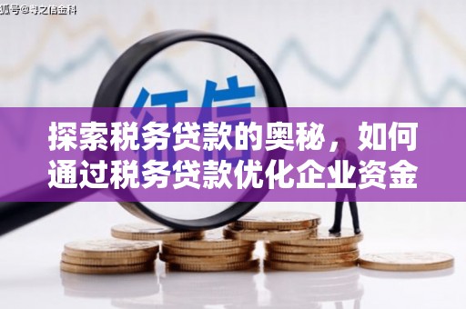 镇原探索税务贷款的奥秘，如何通过税务贷款优化企业资金流