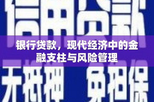 镇原银行贷款，现代经济中的金融支柱与风险管理