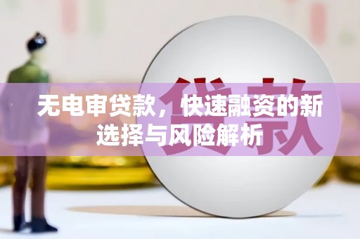 镇原无电审贷款，快速融资的新选择与风险解析