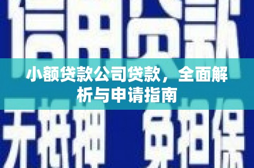 镇原小额贷款公司贷款，全面解析与申请指南