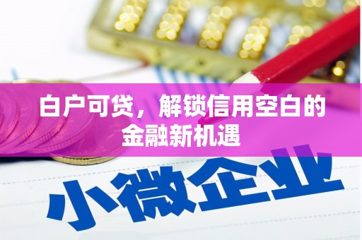 镇原白户可贷，解锁信用空白的金融新机遇