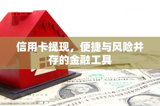 镇原信用卡提现，便捷与风险并存的金融工具