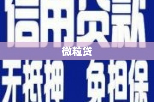 镇原微粒贷