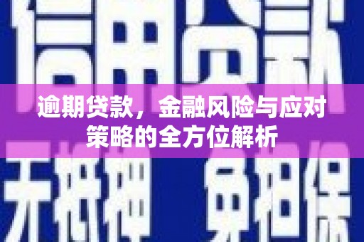 镇原逾期贷款，金融风险与应对策略的全方位解析
