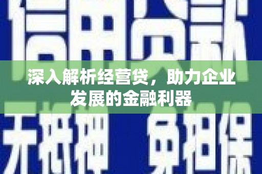 镇原深入解析经营贷，助力企业发展的金融利器