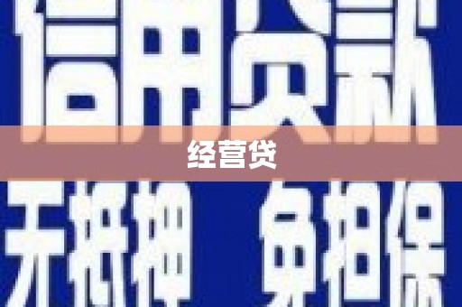 镇原经营贷