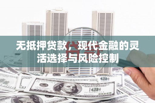 镇原无抵押贷款，现代金融的灵活选择与风险控制