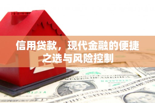 镇原信用贷款，现代金融的便捷之选与风险控制