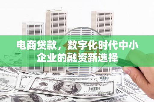 镇原电商贷款，数字化时代中小企业的融资新选择