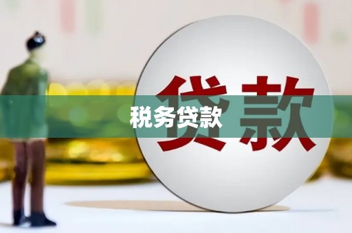 镇原税务贷款