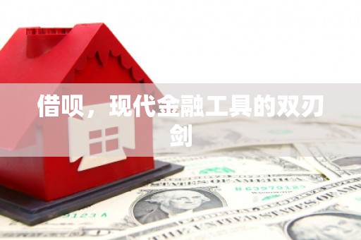 镇原借呗，现代金融工具的双刃剑