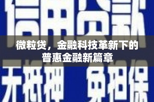 镇原微粒贷，金融科技革新下的普惠金融新篇章