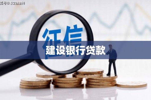 镇原建设银行贷款