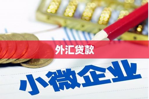 镇原外汇贷款