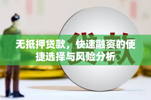 镇原无抵押贷款，快速融资的便捷选择与风险分析