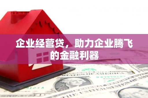 镇原企业经营贷，助力企业腾飞的金融利器