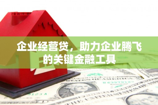 镇原企业经营贷，助力企业腾飞的关键金融工具