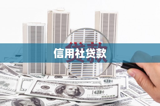 镇原信用社贷款