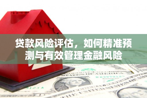 镇原贷款风险评估，如何精准预测与有效管理金融风险