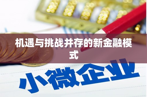 镇原机遇与挑战并存的新金融模式