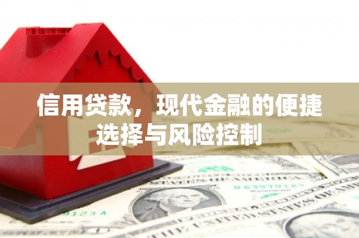 镇原信用贷款，现代金融的便捷选择与风险控制