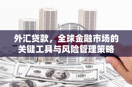 镇原外汇贷款，全球金融市场的关键工具与风险管理策略