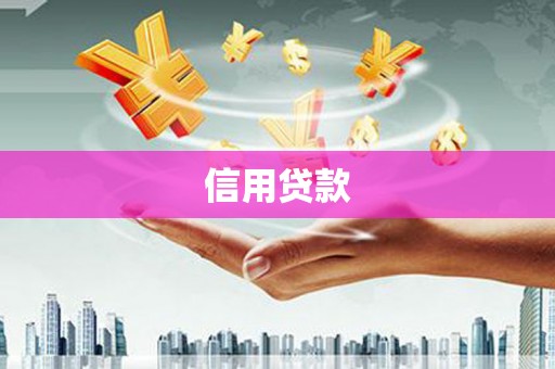 镇原信用贷款