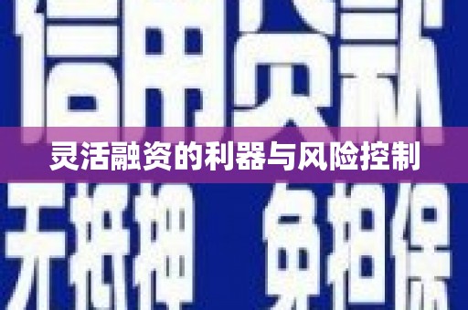 镇原灵活融资的利器与风险控制