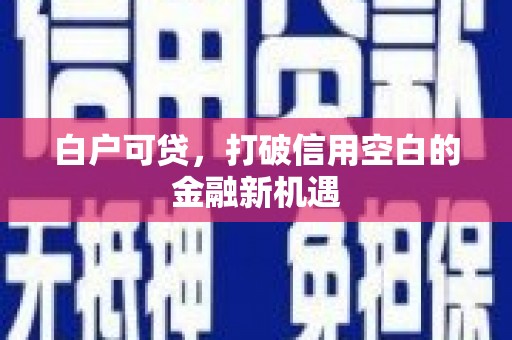 镇原白户可贷，打破信用空白的金融新机遇