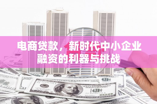 镇原电商贷款，新时代中小企业融资的利器与挑战